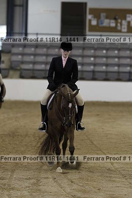 Proof 11r14_1441