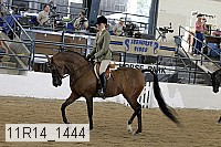 11r14_1444 proof