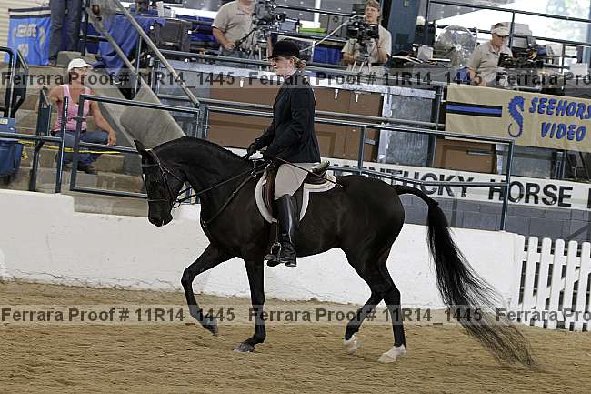 Proof 11r14_1445