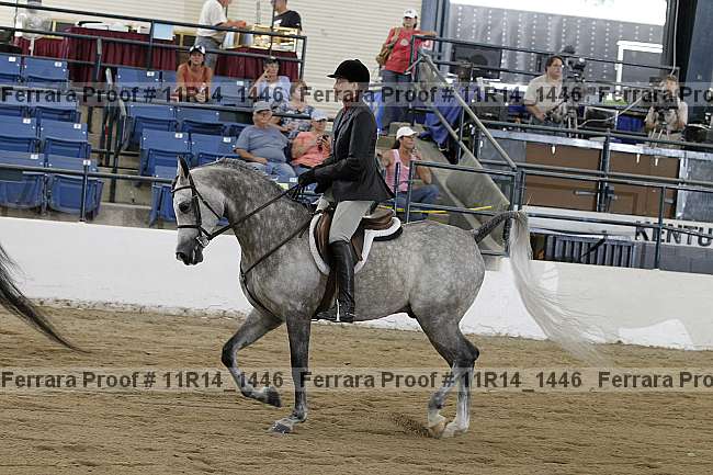 Proof 11r14_1446