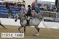 11r14_1446 proof