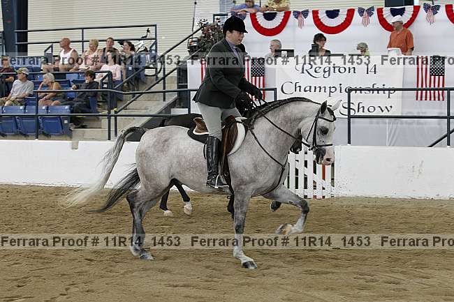 Proof 11r14_1453