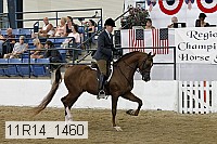 11r14_1460 proof