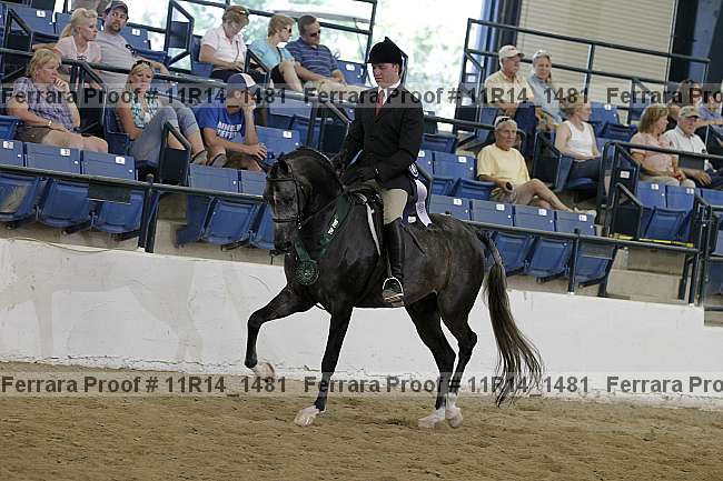 Proof 11r14_1481