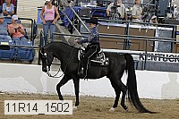 11r14_1502 proof