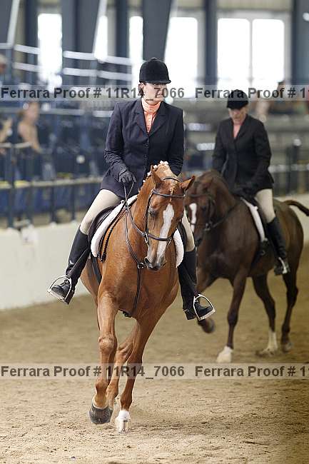 Proof 11r14_7066