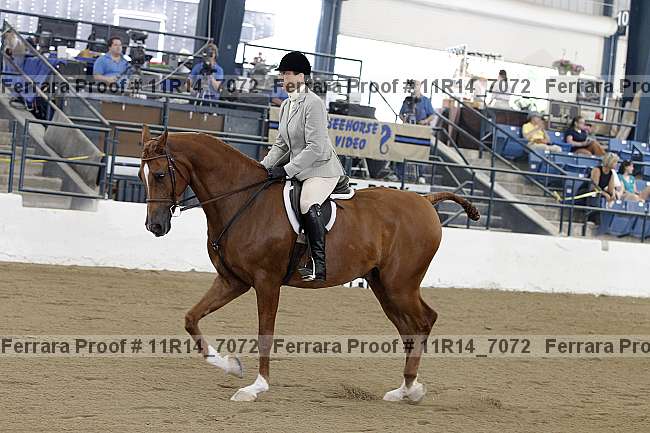 Proof 11r14_7072