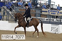 11r14_7077 proof
