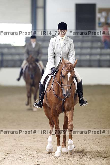 Proof 11r14_7079
