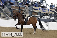 11r14_7085 proof