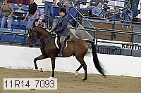 11r14_7093 proof