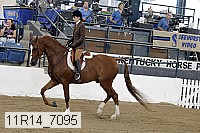 11r14_7095 proof