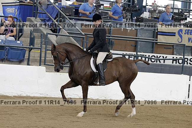 Proof 11r14_7096