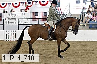 11r14_7101 proof