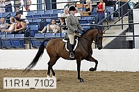 11r14_7102 proof