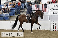 11r14_7107 proof