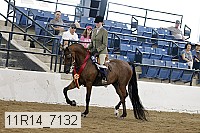 11r14_7132 proof