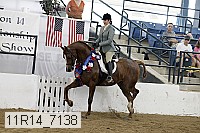 11r14_7138 proof