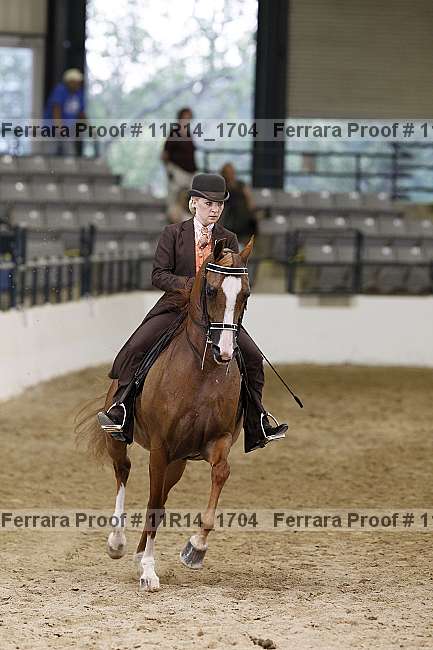 Proof 11r14_1704