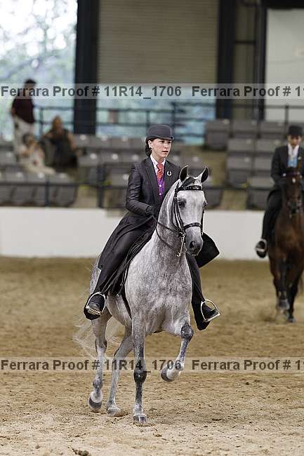 Proof 11r14_1706