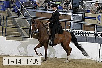 11r14_1709 proof