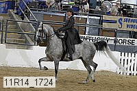 11r14_1724 proof