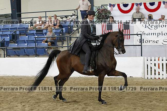 Proof 11r14_1729