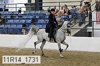 11r14_1731 proof