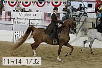 11r14_1732 proof