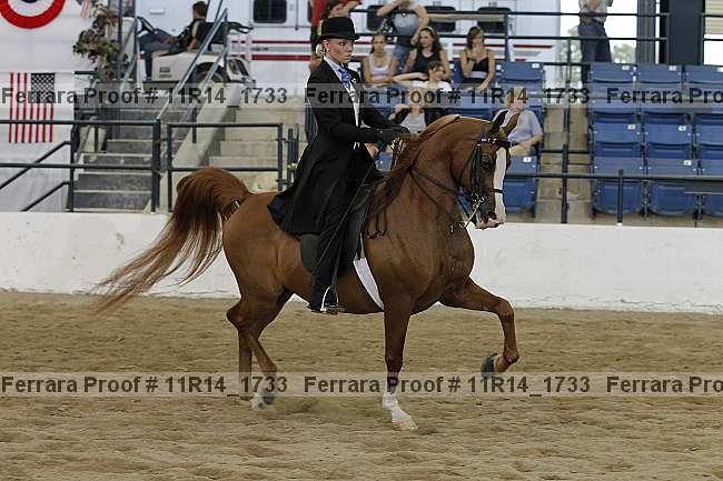 Proof 11r14_1733