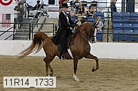 11r14_1733 proof