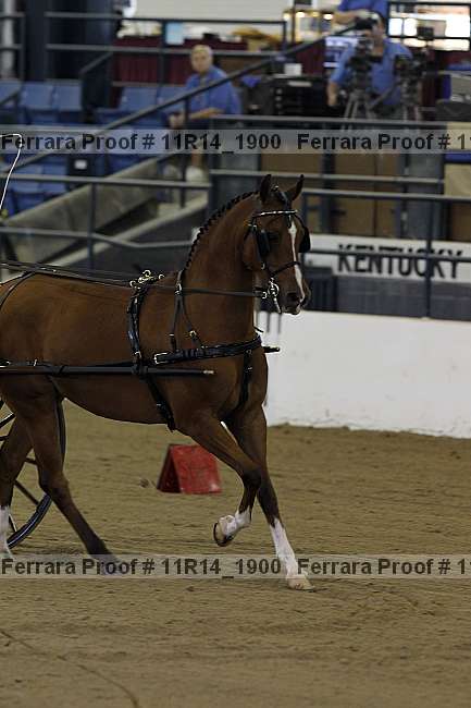 Proof 11r14_1900