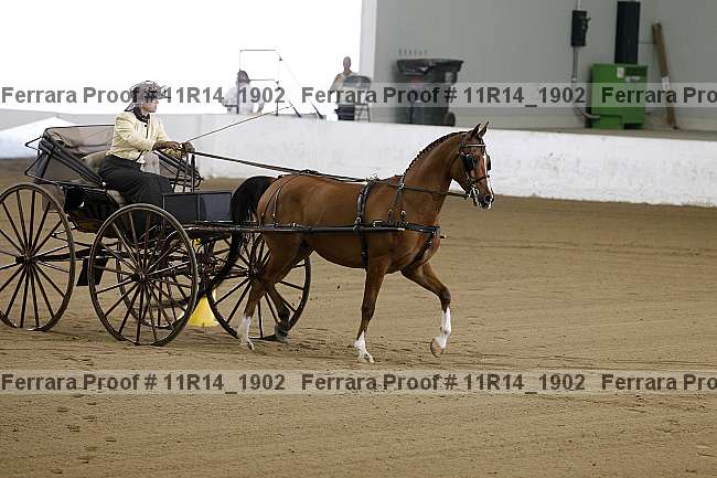 Proof 11r14_1902