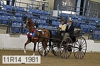 11r14_1981 proof