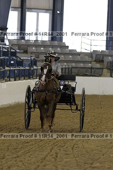 Proof 11r14_2001