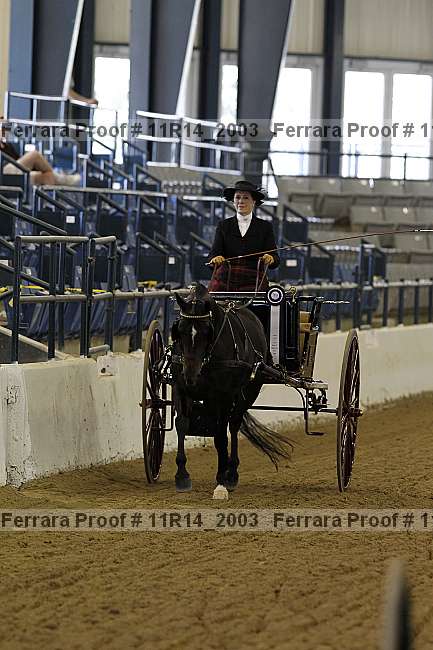 Proof 11r14_2003