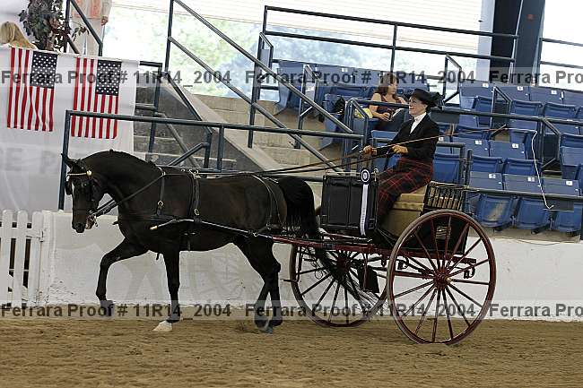 Proof 11r14_2004