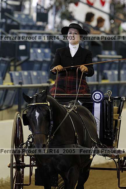 Proof 11r14_2005