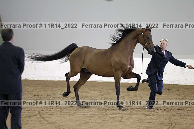 Proof 11r14_2022