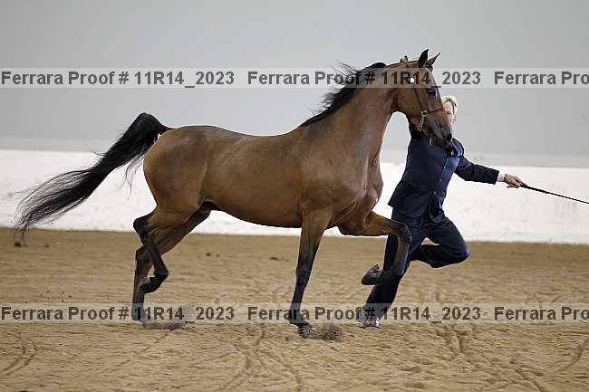 Proof 11r14_2023
