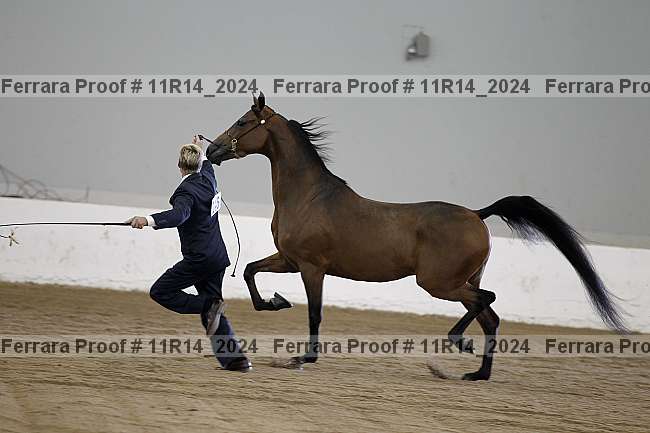 Proof 11r14_2024