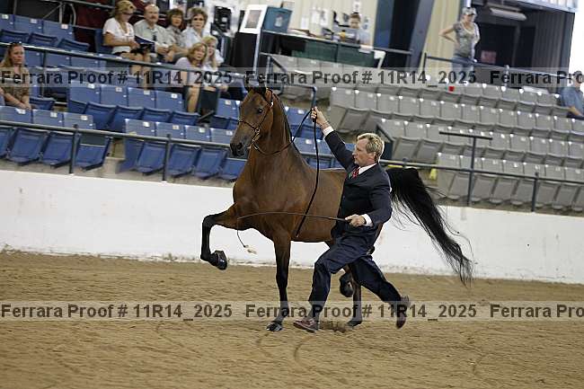 Proof 11r14_2025