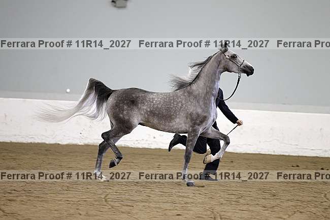 Proof 11r14_2027