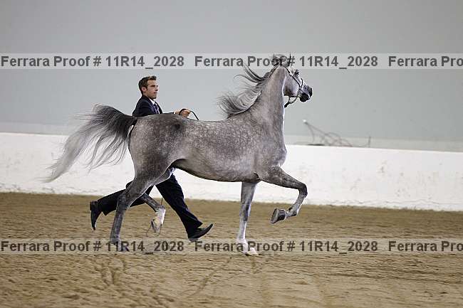 Proof 11r14_2028
