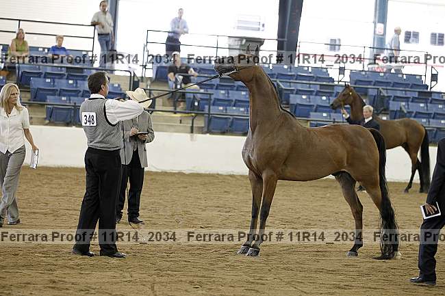 Proof 11r14_2034