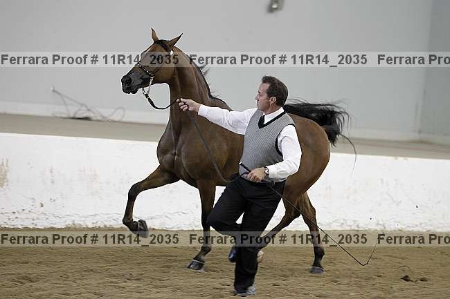 Proof 11r14_2035