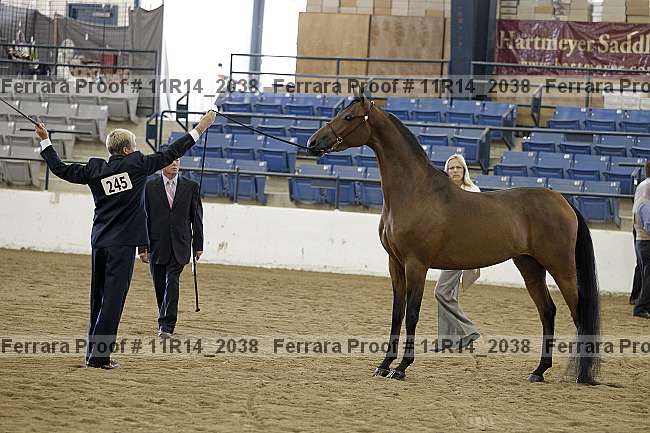 Proof 11r14_2038