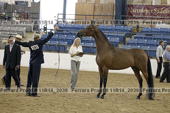 Proof 11r14_2039