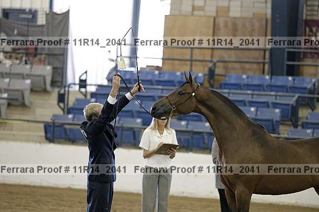 Proof 11r14_2041