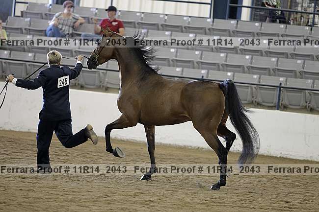 Proof 11r14_2043